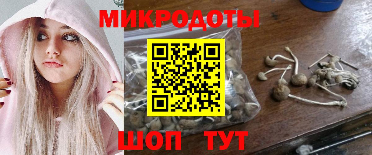 Псилоцибиновые грибы Psilocybine cubensis  Вход с VPN  купить наркотик  Усть-Джегута 